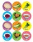 Pesach Seder Plate Stickers 1" Round 10 Pack – Passover Educational Hebrew Stickers for Kids Crafts & Classroom Activities
